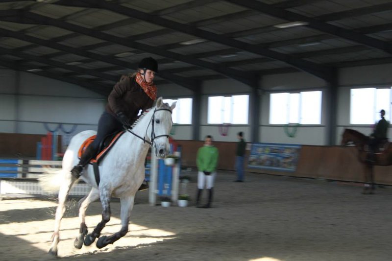 Top Class Riding Club - Centru de echitatie